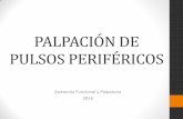 PALPACIÓN DE PULSOS PERIFÉRICOS