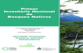 Inventario Nacional de Bosques 1998-2005 Andino Patagónico