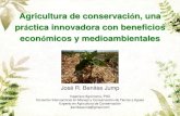 Agricultura de conservación, una práctica innovadora con ...