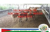 Rendición de Cuentas 2012-2015,  Secretaria De Agricultura Y Medio Ambiente de Chigorodó