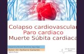 Colapso cardiovascular, paro cardiaco y muerte súbita (final)