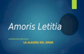 Amoris letitia