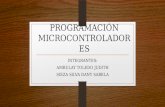 Programación microcontroladores