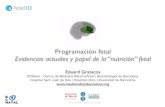 Programación fetal Evidencias actuales y papel de la “nutrición” fetal