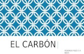 Presentación carbon