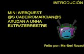 Mini webquest