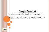 Presentacion capitulo 3 Sistemas de Información Organizaciones y Estrategias