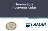 Hemorragia Intraventricular