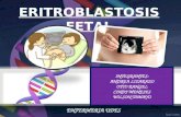 Eritroblastosis fetal