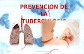 Prevención Tuberculosis