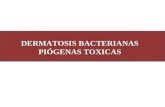 Seminario de dermatosis bacterianas