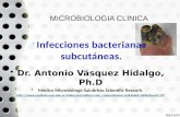 Infecciones bacterianas subcutaneas016