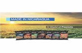 Made in Nicaragua