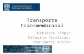 Transporte transmembranal