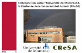 Exemple col·laboració Université de Montréal i CReSA