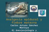 Analgesia epidural y fiebre materna