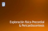 Exploración física Precordial y pericardiocentesis