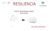 Resiliencia ponencia sencilla