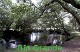 Espazo natural Río Grande