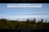 Tema 2.3. Diversidad del medio natural en España (parte 1)