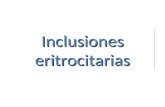 Inclusiones eritrocitarias