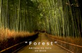 Butaca Forest- Adriana De Soto 14-0115