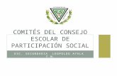 Comités de Participación Social