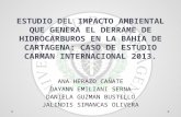 Sustentación Trabajo Final: Estudio de impacto ambiental generado por el derrame de residuos de hidrocarburos en la Bahía de Cartagena (Bolívar). Caso estudio: Carman Internacional