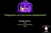 Carcinoma Hepatocelular. Actualización