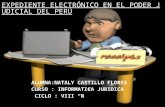 Expediente electrónico en el poder judicial del perú