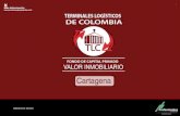 Presentacion TLC Cartagena