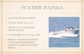 Presentation Water Panda
