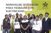 Plantilla institucional SENA electricidad