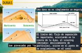 Dunas, estratificación cruzada planar y transversal, restricciones de formacion  christian romero 2016