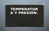 Temperatura y presión