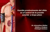 Control Presión Arterial, a largo plazo, capítulo 19, Guyton, Dr. johnnathan molina