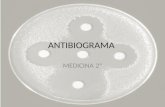 Antibiograma bacteriano