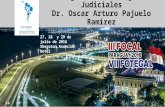 Sentencias Judiciales Perù