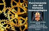 Funcionamiento del sistema inmunológico