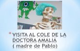 Visita al cole de la doctora amalia           (