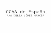 CCAA de España