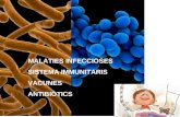 Sistema immunitari i Microorganismes