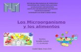 Los microorganismo y los alimentos