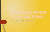 Inmunidad frente a bacterias