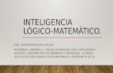 Inteligencia logico matematico