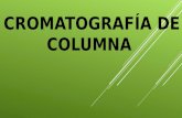 Cromatografía de columna