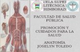 Introduccion a la Anatomia Humana