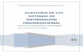 Auditoria de los sistemas de informacion organizacional