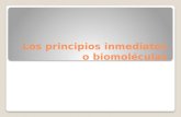 Tema 1 biomoléculas inorgánicas
