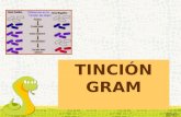Prctica 7 tinci³n gram